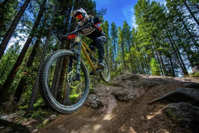 Trestle Bike Park Anticipated Opening Photo
