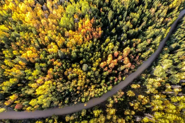 Save 30% on your Fall Escape Photo