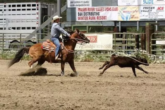 high-country-stampede-rodeo-282-137.jpg Photo 4