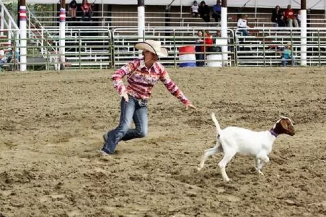 high-country-stampede-rodeo-282-495.jpg Photo 5