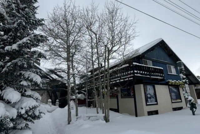 We're nearly buried in snow all winter Photo 2