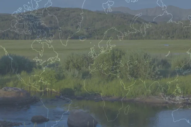 Earth Day Celebration Photo