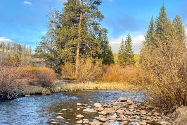 Watershed Walk Photo