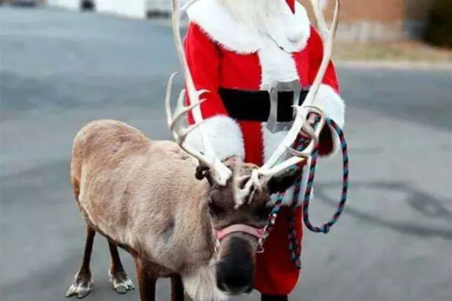 Santa & His Reindeer Visiting Dec. 18 & 19 Photo 5