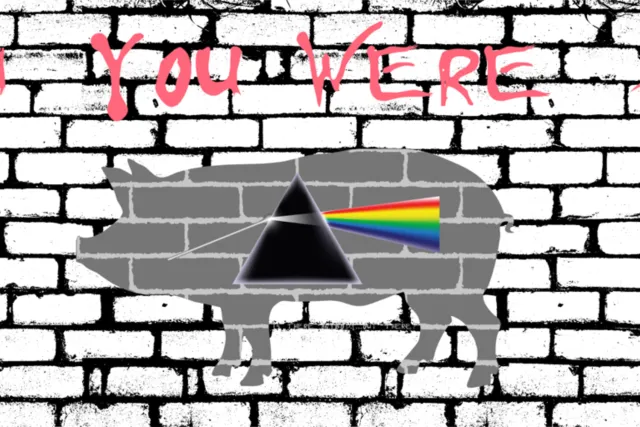 Live Music - Wish You Were Pink Photo