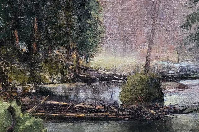 St. Louis Creek Photo 4