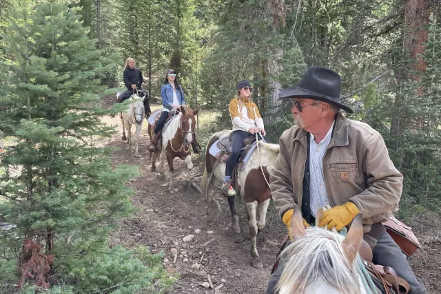 guided tours at Rocky Mountain Stables Photo 4