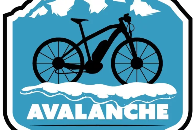 Avalanche eBikes Photo 4