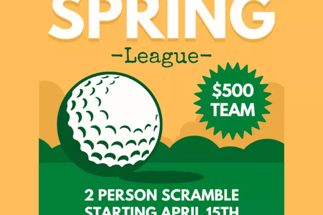 Birdie Lounge Spring League Photo