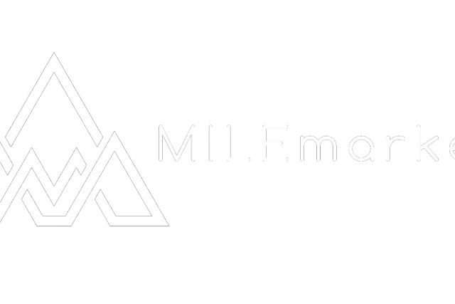 MileMarker Van Rentals Photo 2