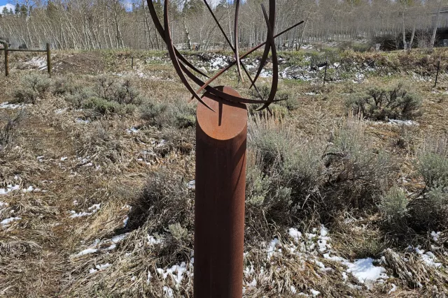 Sculpture - Cervus Series - "Stag" Photo 11