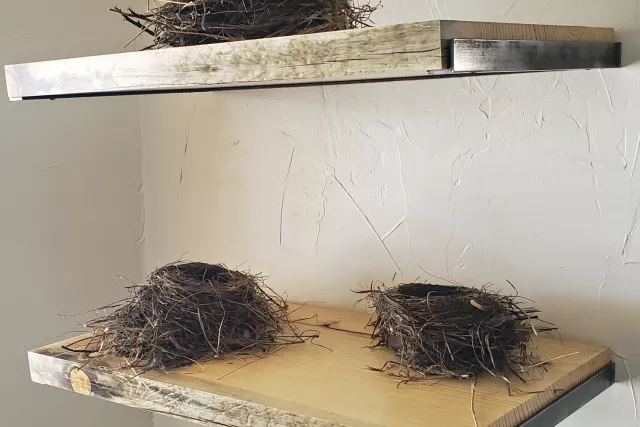 FLoating Shelves - Beetle Kill Pine, Resin and Steel Photo 12