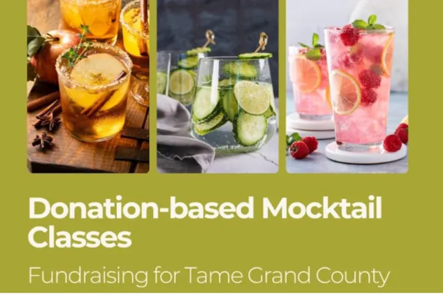 Mocktail Class - TAME Wellness Fundraiser Photo