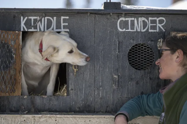 Redemption Dog Sled Tours Photo 4
