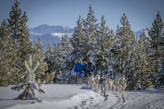 Redemption Dog Sled Tours Photo 2