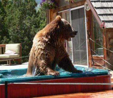 Nothing makes my day like a good soak!