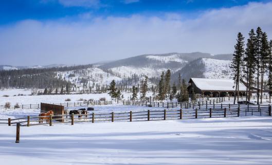 Winter Horseback Riding Colorado
