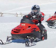 Snowscoots!