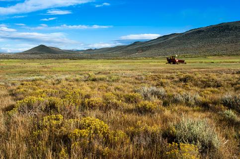 Ouray Ranch Conservation Easement. Photo by Susan Herpel.