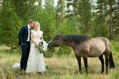 Summer Wedding with Horse 
