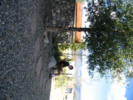 IMG_0137.jpg