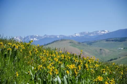 DSC_2533.JPG