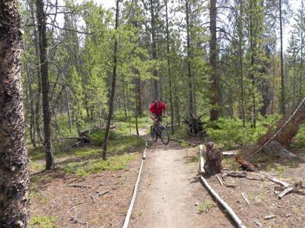 Summer hiking, biking and dog-friendly trails