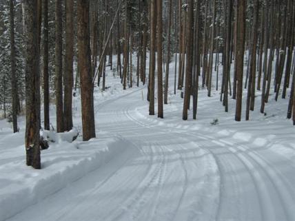 Ski Trail