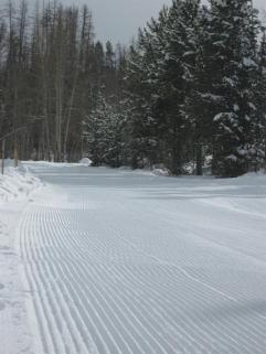 Fresh corduroy