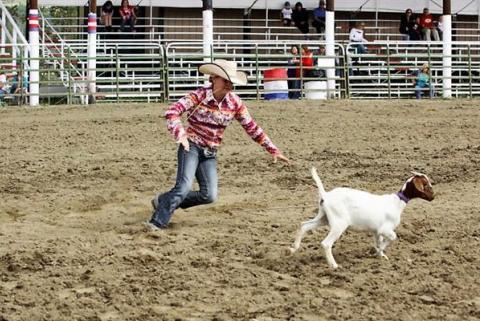 high-country-stampede-rodeo-282-495.jpg