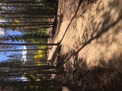 Trail Building for a Wedding Venue