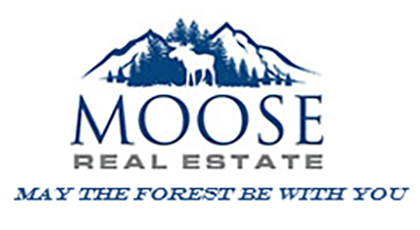 Paul Lewis Moose Real Estate Of Winter Park Winter Park Colorado