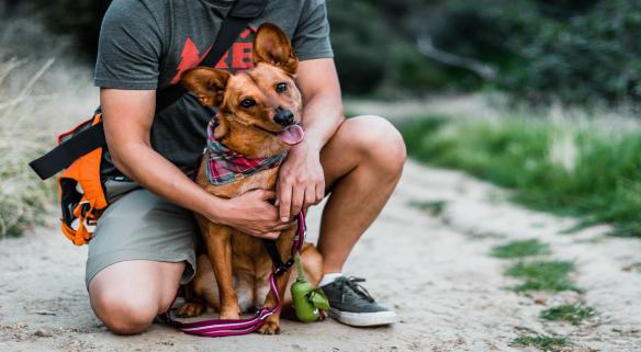 Stay Winter Park pet friendly rentals
