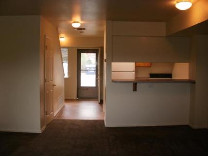Kitchen, Entrance Living Room