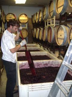 Fermenting at 9,000 feet