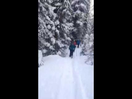 Embedded thumbnail