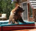 Nothing makes my day like a good soak!