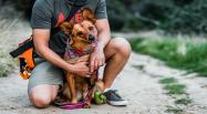 Stay Winter Park pet friendly rentals