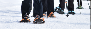 Snowshoe Group