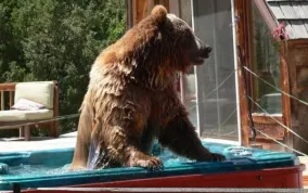 Nothing makes my day like a good soak! Photo