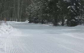 Fresh corduroy Photo