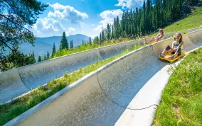 Colorado's Longest Alpine Slide Photo