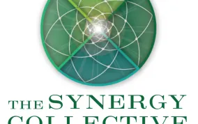 The Synergy Collective Photo