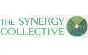 The Synergy Collective Photo