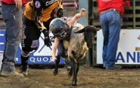 high-country-stampede-rodeo-282-1068.jpg Photo