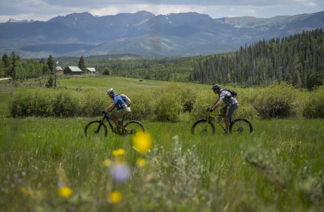 Mountain Biking through a picturesque meadow