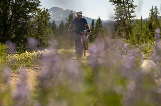 Mountain Bikers with wildflowers in the foreground