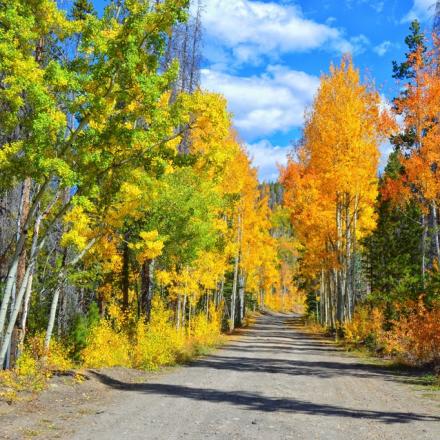 Corona Road in Fall near Winter Park, Colorado 
