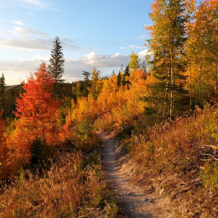 Fall hiking trail in Winter Park, Colorado 