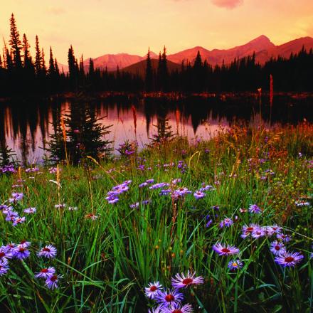 Mountain Lake & Meadow in Winter Park, Colorado 